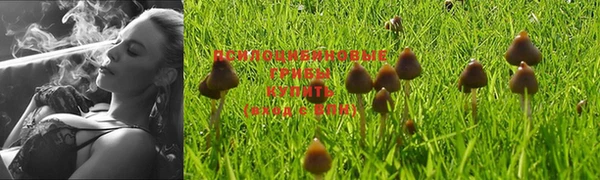 марки nbome Верея