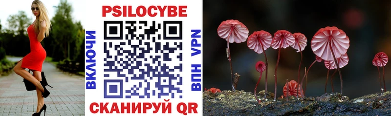 Псилоцибиновые грибы Psilocybe  MEGA рабочий сайт  Новоржев  наркотики 